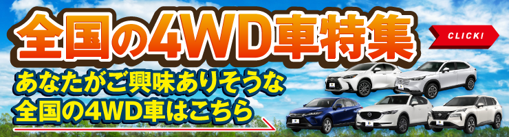 全国の4DW車特集